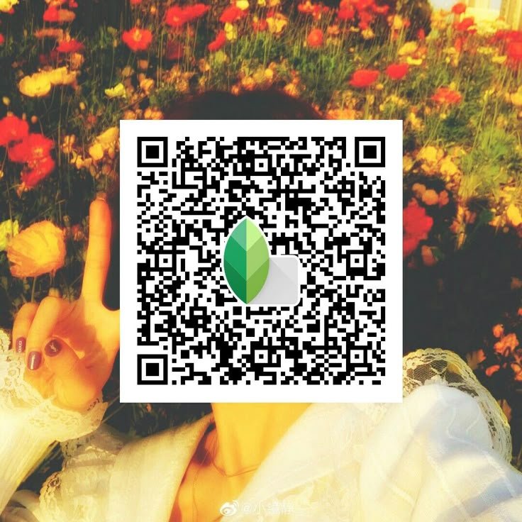 Snapseed QR Codes Blur Background Hd k ()