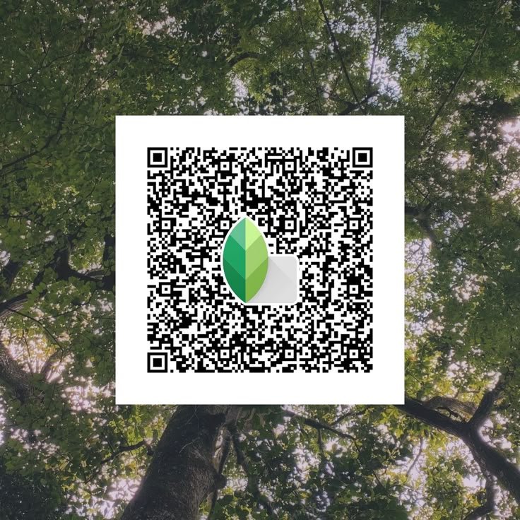 Snapseed QR Codes Blur Background Hd k ()