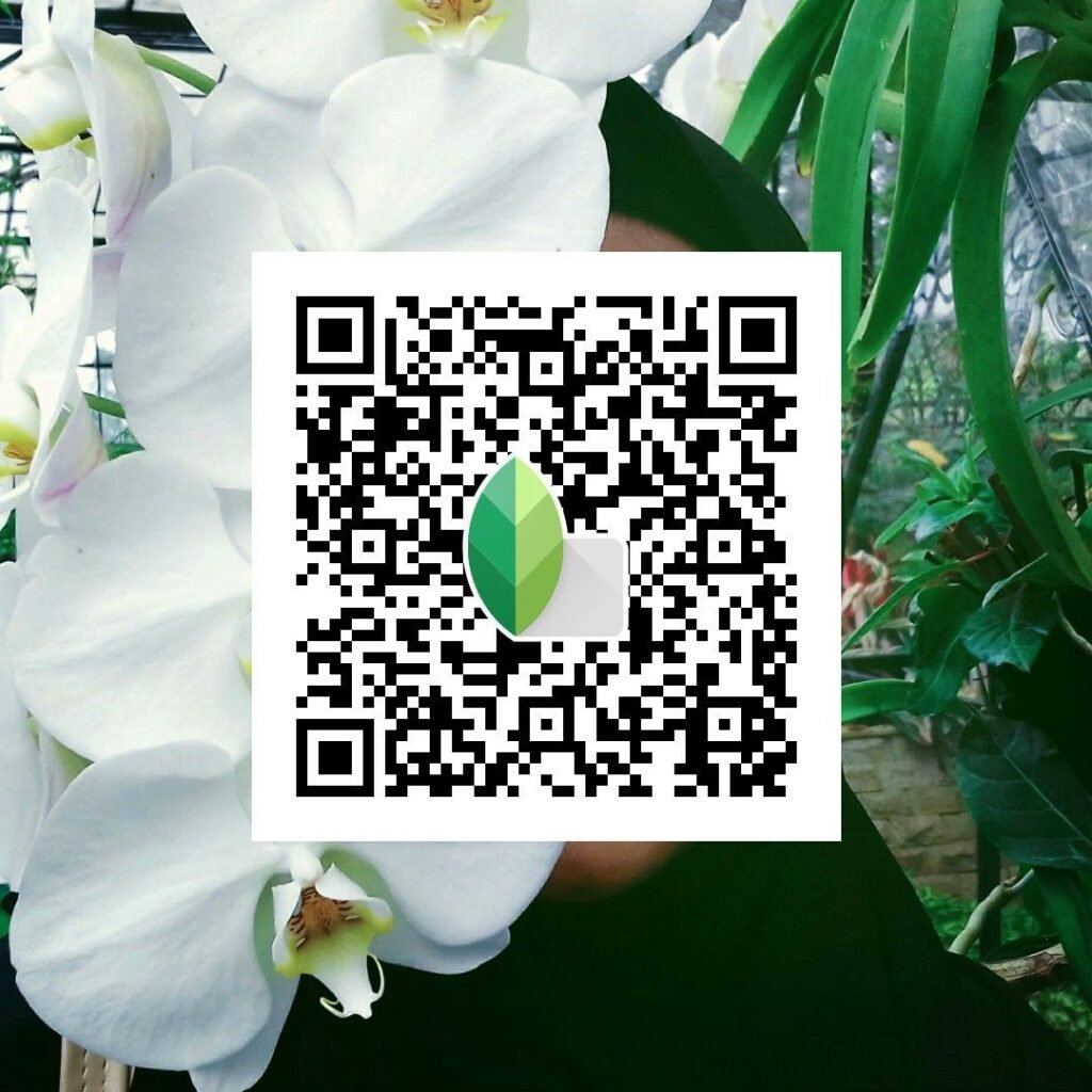 Snapseed QR Codes Blur Background Hd k ()