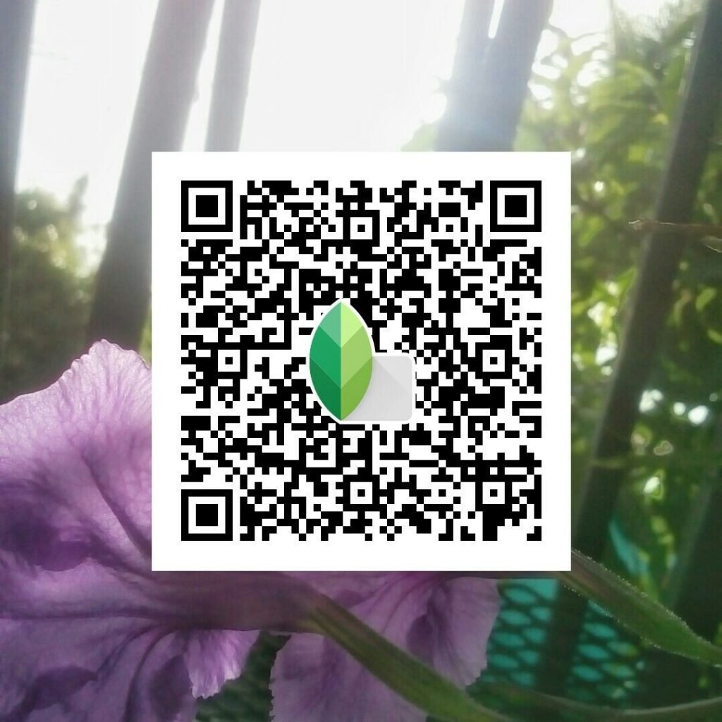 Snapseed QR Codes Blur Background Hd k ()