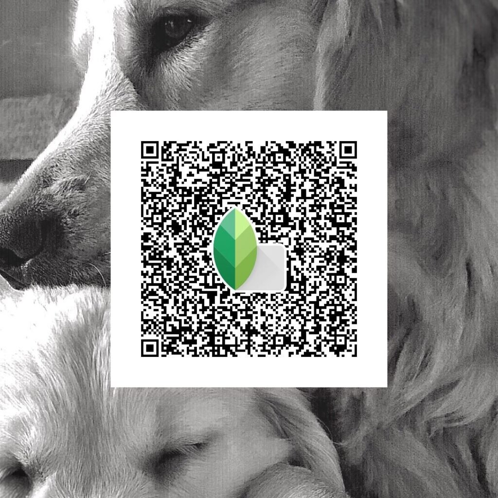 Snapseed QR Codes Blur Background Hd k ()