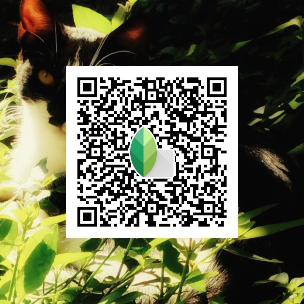 Snapseed QR Codes Blur Background Hd k ()