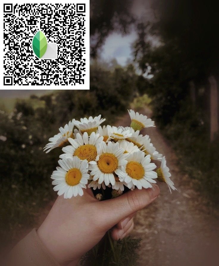 Snapseed QR Codes Blur Background Hd k ()