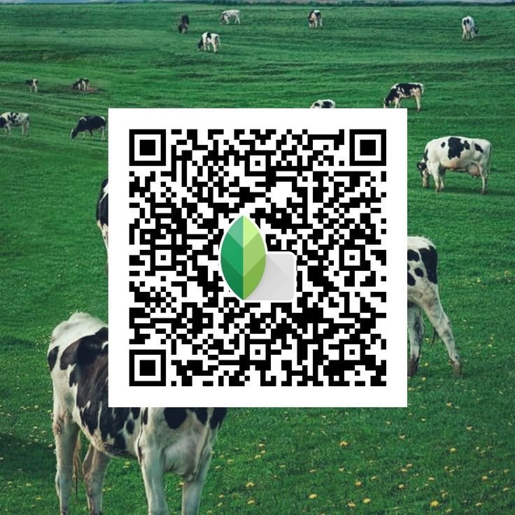Snapseed QR Codes Blur Background Hd k ()