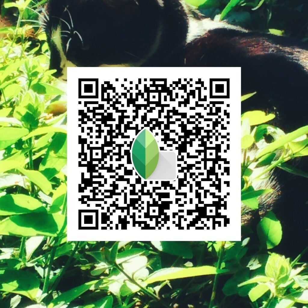 Snapseed QR Codes Blur Background Hd k ()