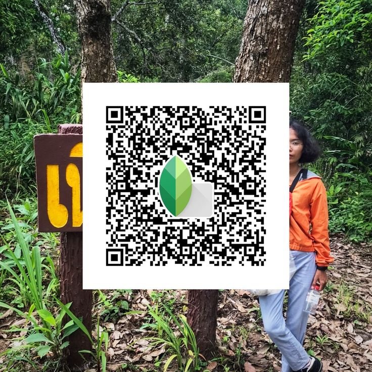 Snapseed QR Codes Blur Background Hd k ()