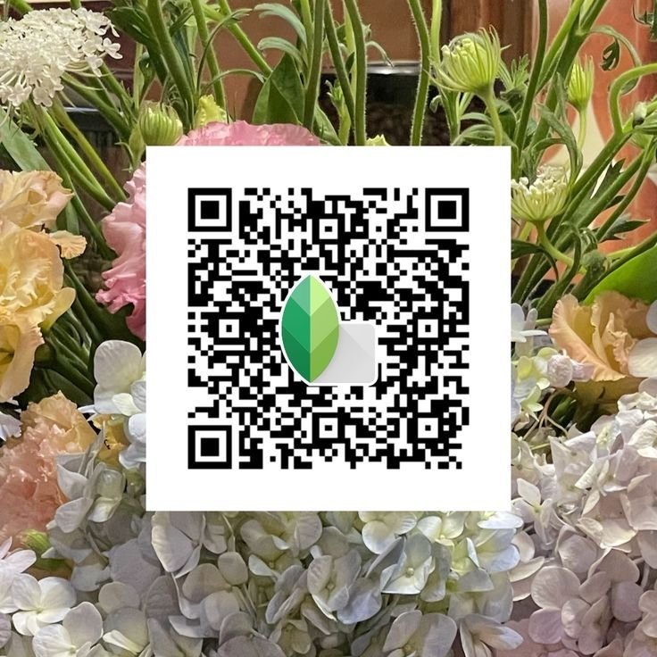 Snapseed QR Codes Blur Background Hd k ()