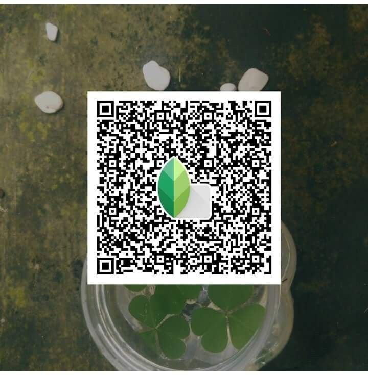Snapseed QR Codes Blur Background Hd k ()
