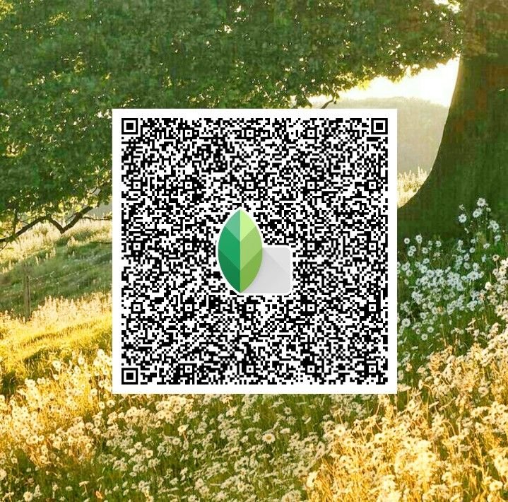 Snapseed QR Codes Blur Background Hd k ()