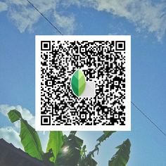 Snapseed qr codes for boys ()