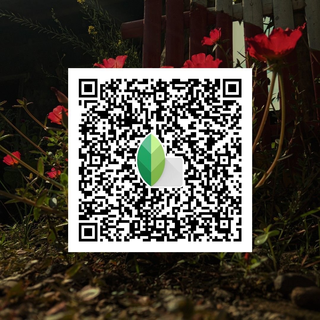 Snapseed qr codes for boys ()