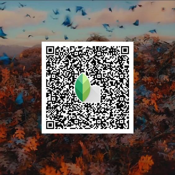 Snapseed qr codes for boys ()