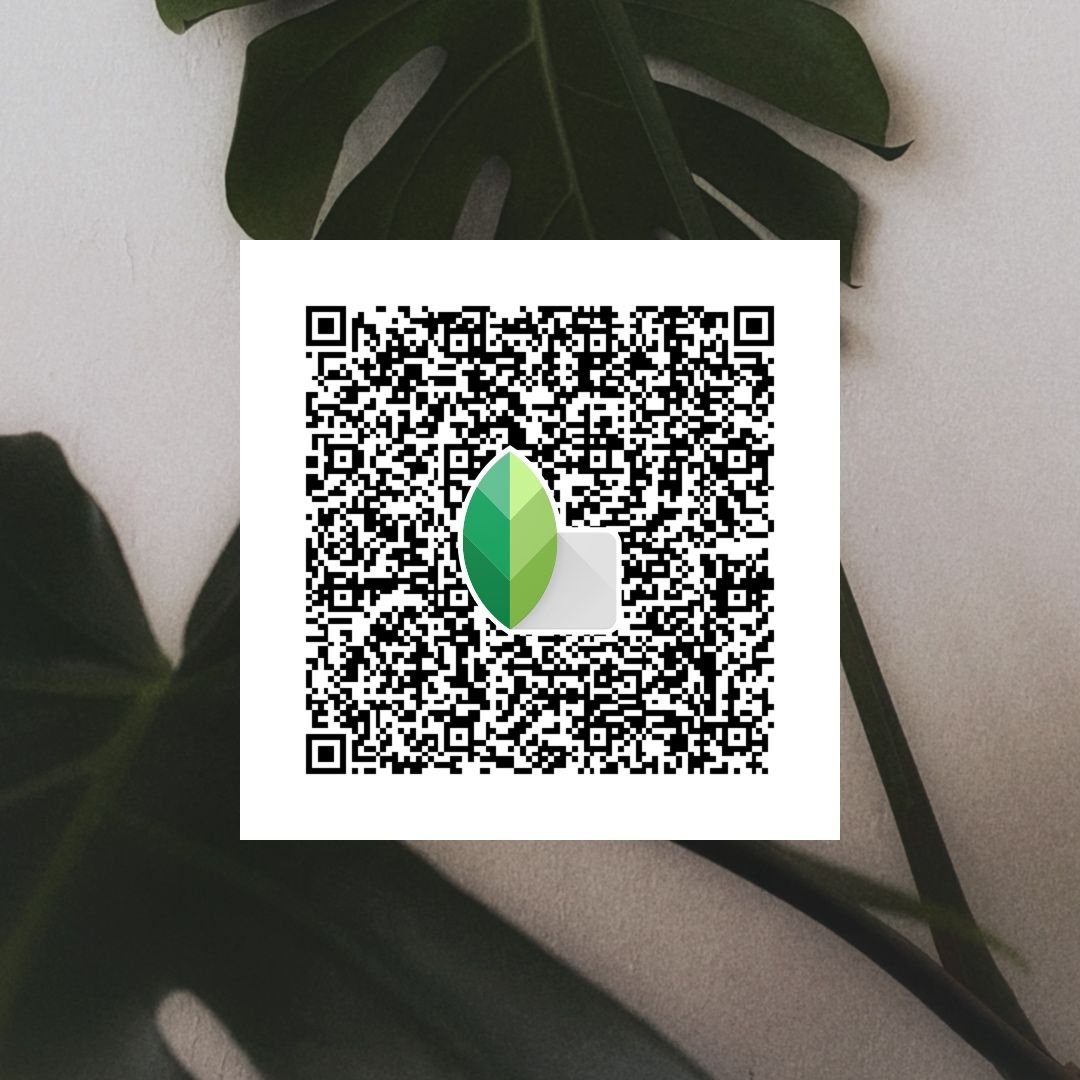 Snapseed qr codes for boys ()