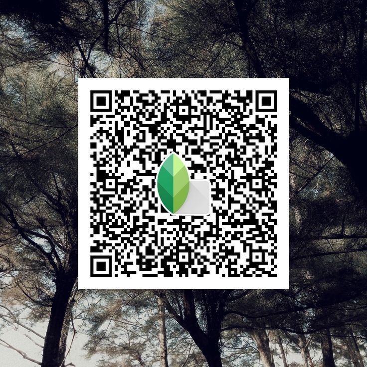 Snapseed qr codes for boys ()