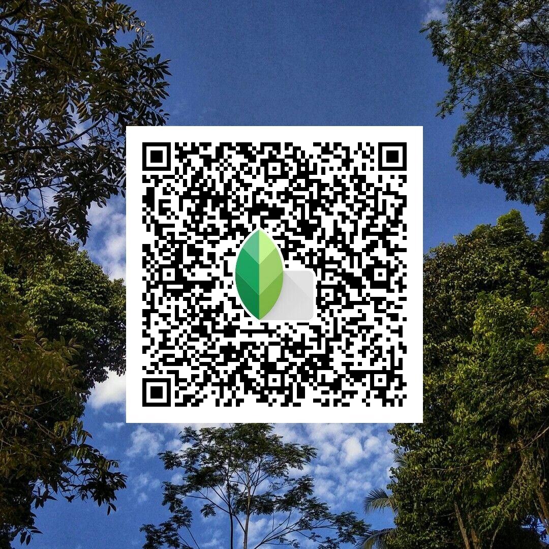 Snapseed qr codes for boys ()