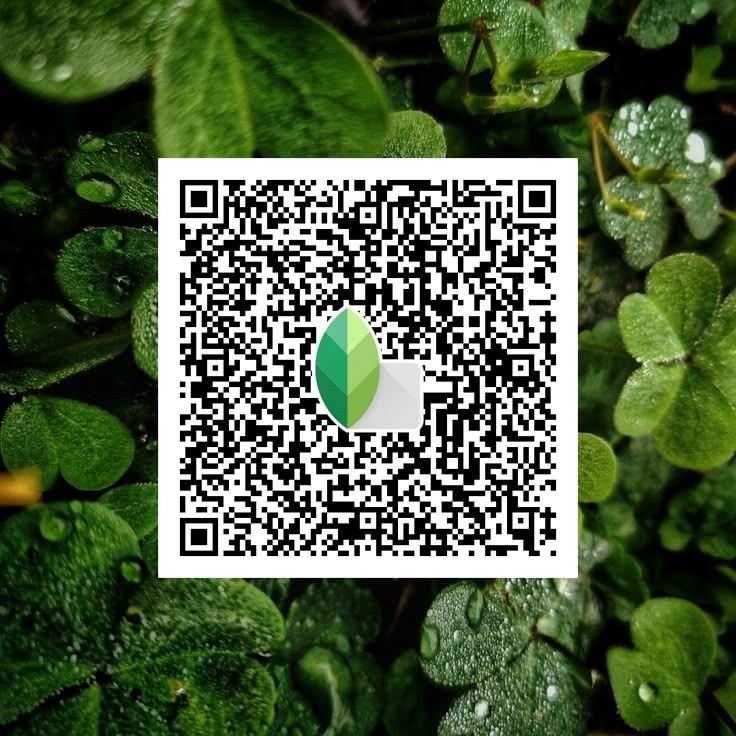 Snapseed qr codes for boys ()