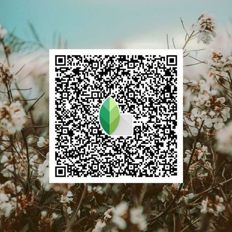 snapseed qr code ()