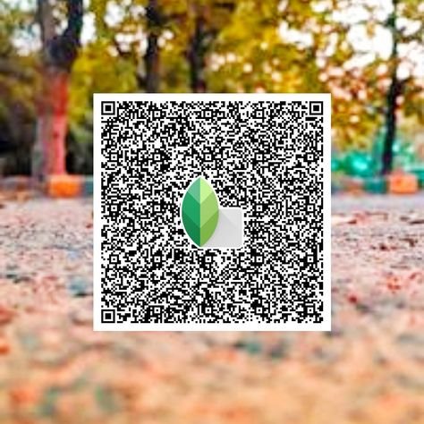 snapseed qr code ()