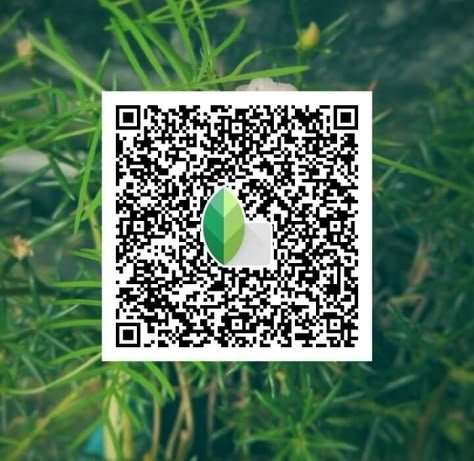 snapseed qr code ()