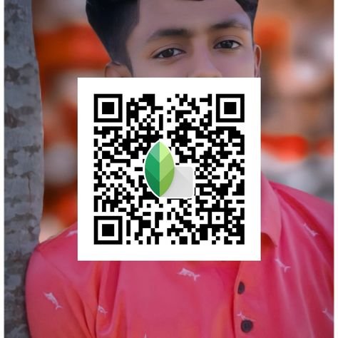 snapseed qr code ()