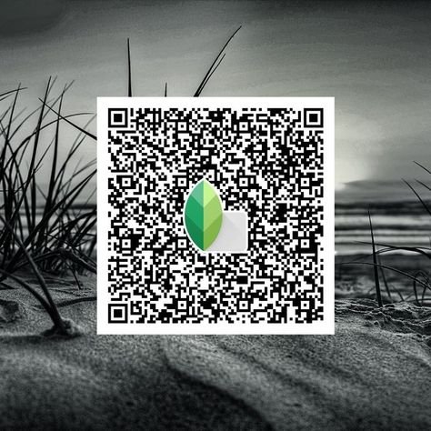 snapseed qr code ()