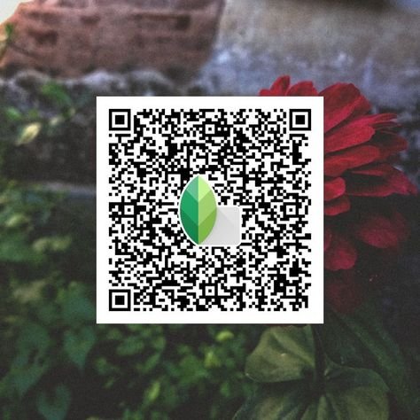 snapseed qr code ()
