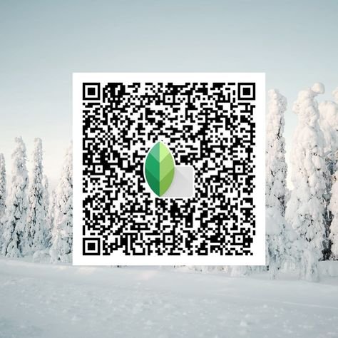 snapseed qr code ()