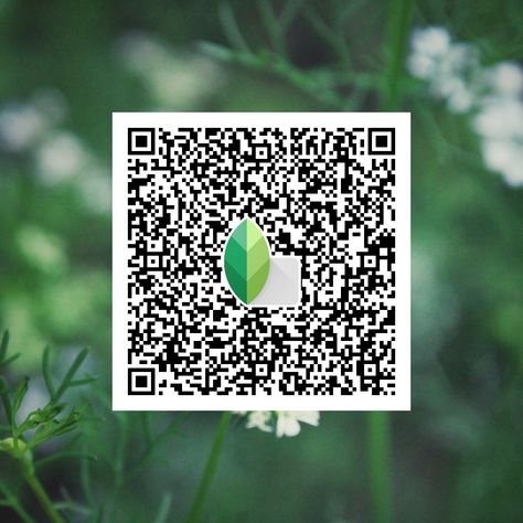 snapseed qr code ()