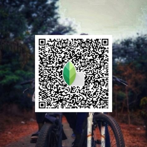snapseed qr code ()