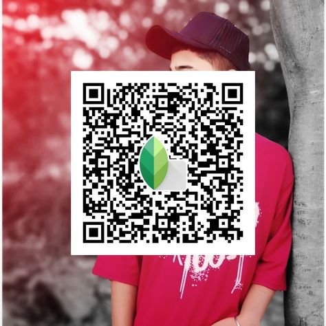 snapseed qr code ()