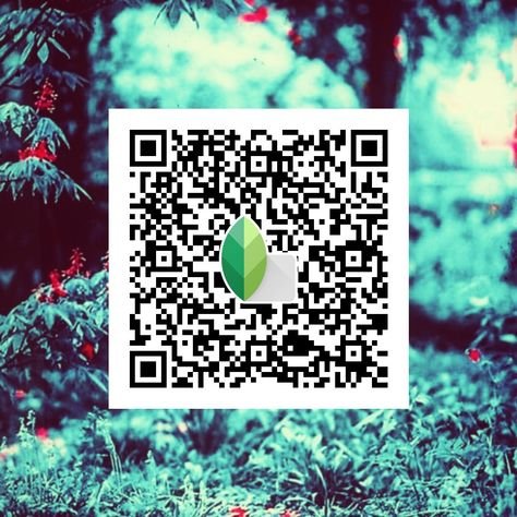 snapseed qr code ()