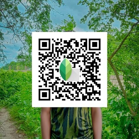 snapseed qr code ()