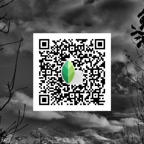 snapseed qr code ()