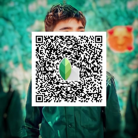 snapseed qr code ()