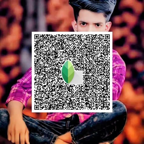 snapseed qr code ()