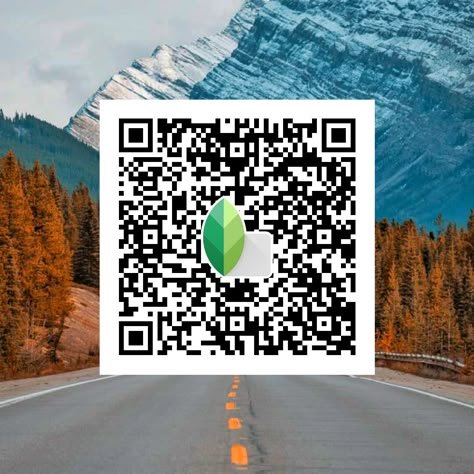snapseed qr code ()