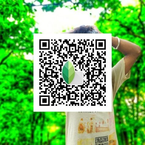 snapseed qr code ()