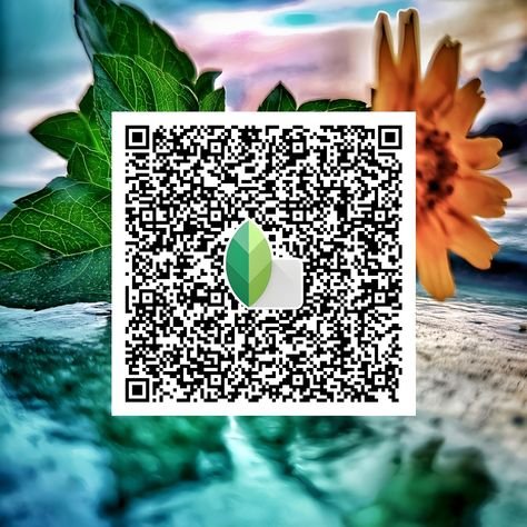 snapseed qr code ()