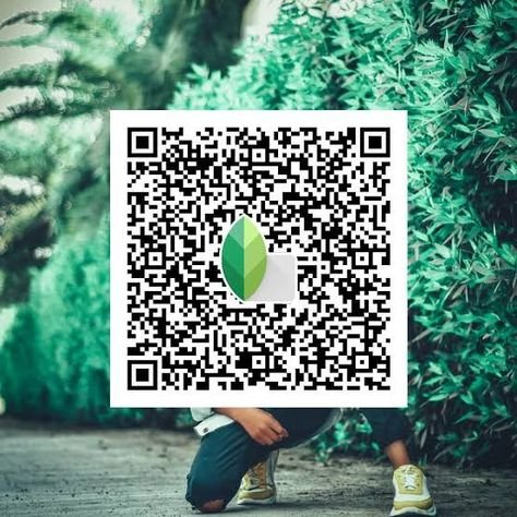 snapseed qr code ()