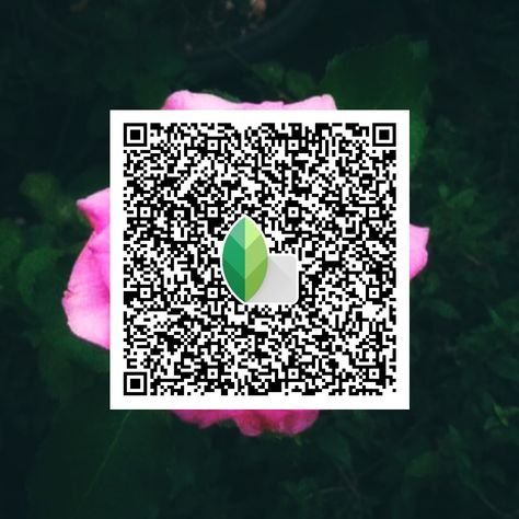 snapseed qr code ()
