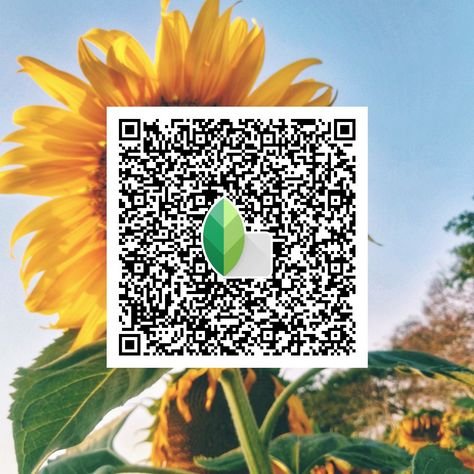 snapseed qr code ()