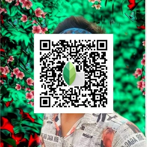 snapseed qr code ()