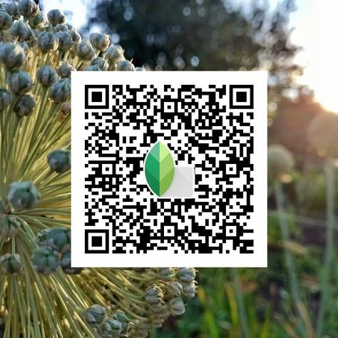 snapseed qr code ()
