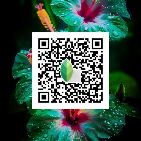snapseed qr code ()