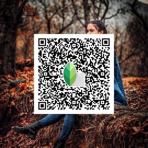 snapseed qr code ()