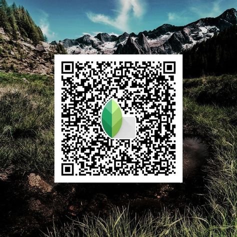 snapseed qr code ()