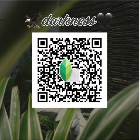 snapseed qr code ()