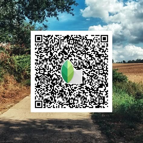 snapseed qr code ()
