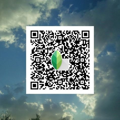 snapseed qr code ()