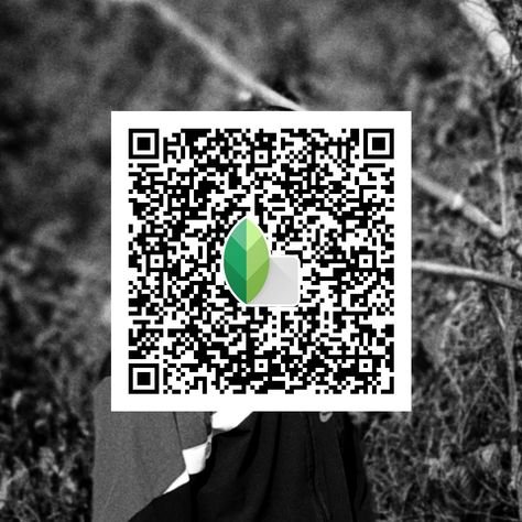 snapseed qr code ()